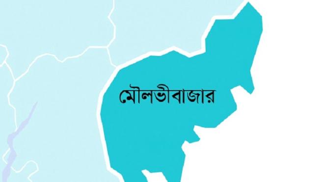 মৌলভীবাজারে দুই মাসে ৩৪ মৃত্যু, সড়ক দুর্ঘটনা ও পানিতে ডোবা প্রধান কারণ