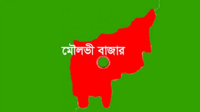 মৌলভীবাজারে দুই মাসে ৩৪ মৃত্যু, সড়ক দুর্ঘটনা ও পানিতে ডোবা প্রধান কারণ